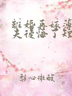 离婚再嫁薄情前夫后悔了短剧在线观看