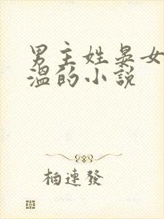 男主姓晏女主姓温的小说