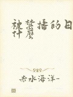 被禁播的日漫有什么