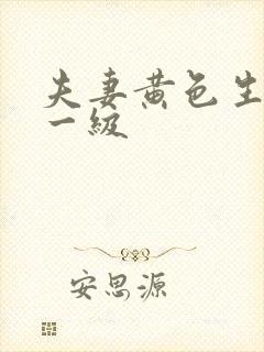 夫妻黄色生活片一级