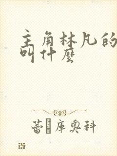 主角林凡的小说叫什么