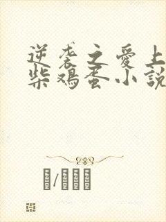 逆袭之爱上情敌柴鸡蛋小说在线观看