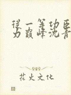 从一等功臣到权力巅峰沈青云最新