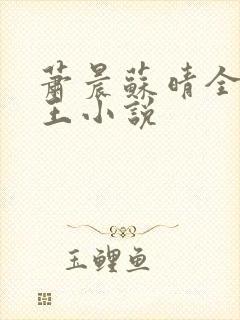 萧晨苏晴全能兵王小说