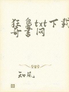 狂枭txt下载奇书网