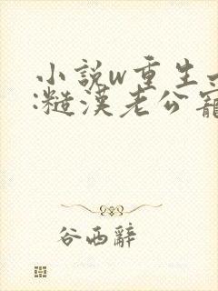 小说w重生七零:糙汉老公宠妻成瘾》