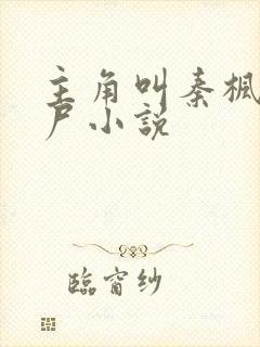 主角叫秦枫的丧尸小说