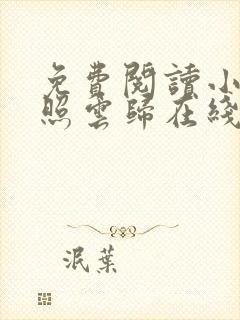 免费阅读小说曾照云归在线阅读全文