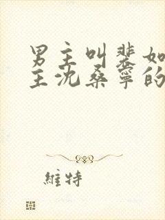 男主叫裴如衍女主沈桑宁的小说