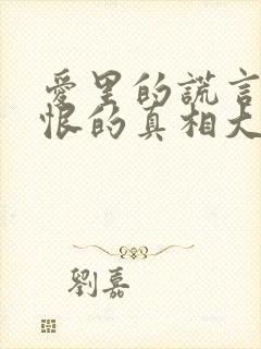 爱里的谎言,仇恨的真相大结局