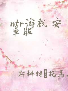 ntr游戏 安卓版