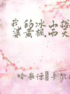 我的冰山总裁老婆黄枫雨天 小说