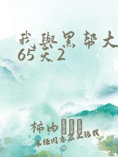 我与黑帮大佬365天2