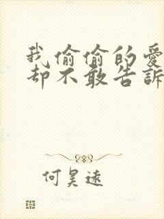 我偷偷的爱上你却不敢告诉你歌词