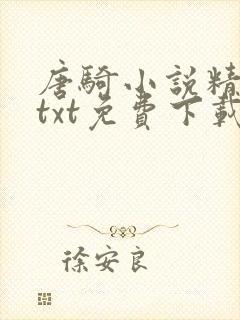 唐骑小说精校版txt免费下载