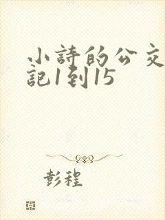 小诗的公交车日记1到15