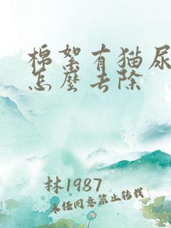 棉絮有猫尿味道怎么去除