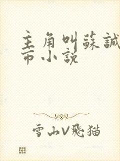 主角叫苏诚的都市小说