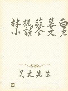 林枫苏慕白穿越小说全文免费阅读