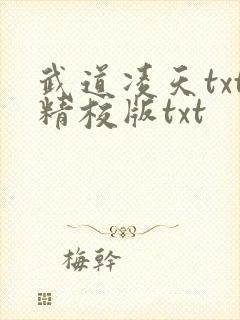 武道凌天txt精校版txt