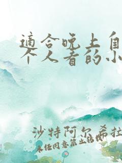 适合晚上自己一个人看的小说