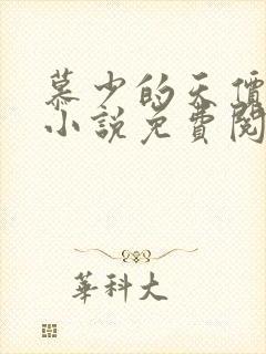 慕少的天价宠妻小说免费阅读