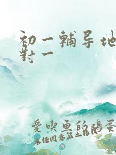 初一辅导地理一对一