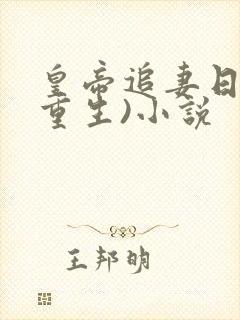 皇帝追妻日常(重生)小说