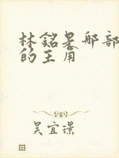 林铭是哪部小说的主角