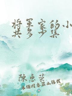 将军家的小娘子共多少集