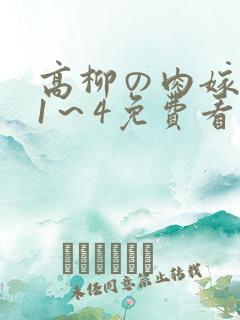 高柳の肉嫁动漫1～4免费看