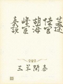 秦峰胡佳芸的小说宦海官途