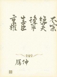 重生后绝不嫁给权臣宁芙宗肆小说阅读