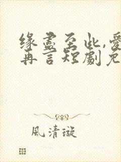 缘尽至此,爱不再言短剧免费观看