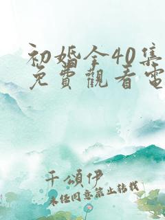 初婚全40集全免费观看电视剧