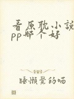 看原耽小说的app哪个好