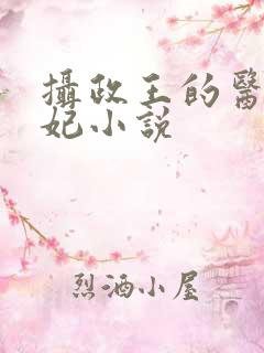 摄政王的医品狂妃小说