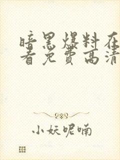 暗黑爆料在线观看免费高清版