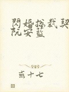 闪婚总裁契约妻阮安蓝