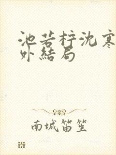 池若柠沈寒声番外结局