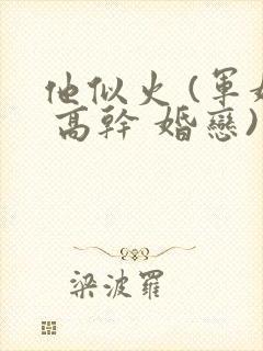 他似火 (军婚 高干 婚恋)小说