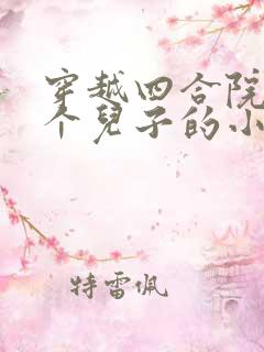 穿越四合院十二个儿子的小说