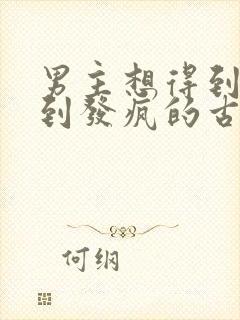 男主想得到女主到发疯的古言