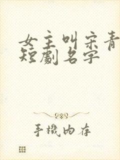 女主叫宋青梨的短剧名字