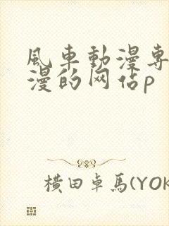 风车动漫专注动漫的网站p