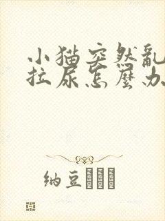 小猫突然乱拉屎拉尿怎么办