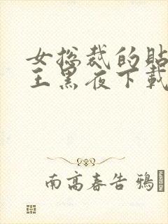 女总裁的贴身兵王黑夜下载