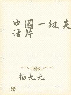 中国一级夫妻生活片