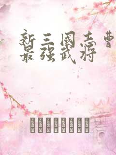 新三国志曹操传最强武将