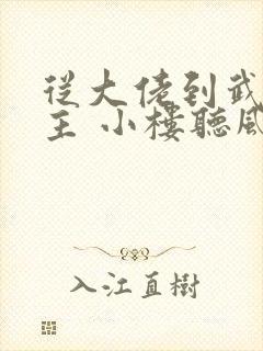从大佬到武林盟主 小楼听风云